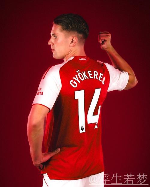 瑞典射手哲凯赖什加盟阿森纳 瑞典射手哲凯赖什加盟阿森纳